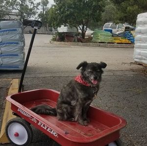 Meet your Posher, Nicki